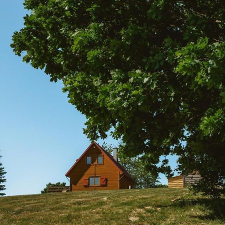 Widokówka Kaszuby Vila Mirachowo Exterior foto