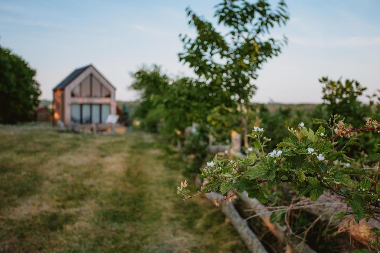 Widokówka Kaszuby Vila Mirachowo Exterior foto
